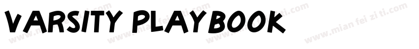 Varsity Playbook字体转换